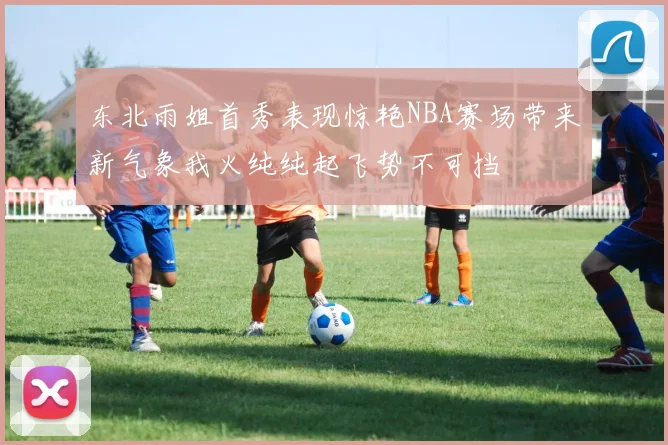 东北雨姐首秀表现惊艳NBA赛场带来新气象我火纯纯起飞势不可挡