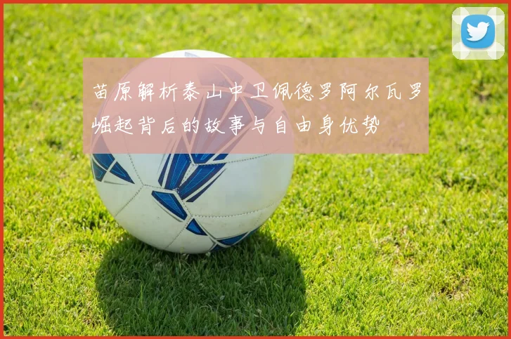 苗原解析泰山中卫佩德罗阿尔瓦罗崛起背后的故事与自由身优势